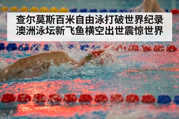 freestyle swimming race